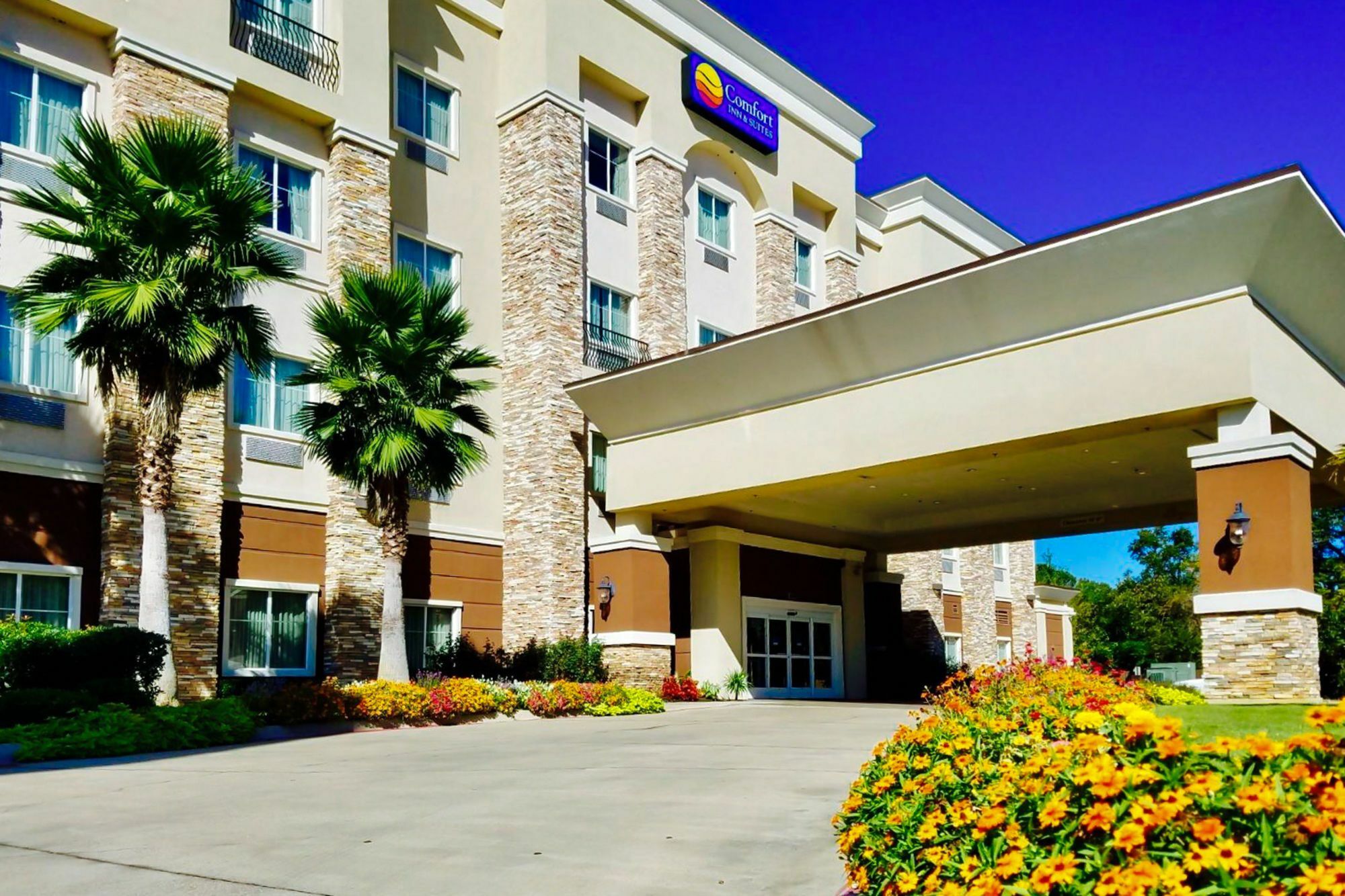 Comfort Inn & Suites Longview Exteriör bild